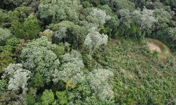 Imagem 5: Terreno Rural a Venda em São Pedro de Alcântara