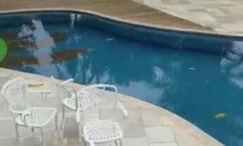 Imagem 7: Vendo excelente casa no Park Way