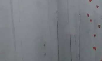 Imagem 5: Vendo ou alugo Casa com 2 dormitórios