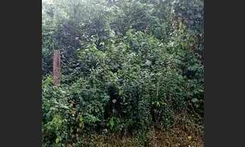 Imagem 2: Terreno em marituba