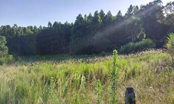 Imagem 2: Área para sítio