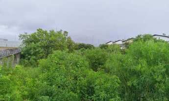 Imagem 4: Terreno com 1.903m² em Porto Alegre/RS