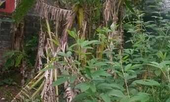 Imagem 4: Lote/Terreno para venda possui 500 metros quadrados em Parque Mandaqui - São Paulo - SP