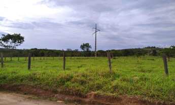 Imagem 3: Novo Gama (Vale das Andorinhas) chácaras 3.300m² planas R$ 39.500