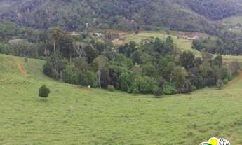 Imagem 3: Fazenda à Venda na Bahia | Fazenda de Pecuária e Cacau no Sul da Bahia