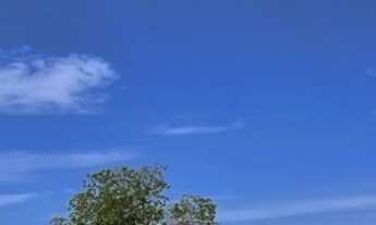 Imagem 3: Fazenda de 77 alqueires (373 hectares) em São Miguel do Araguaia - GO