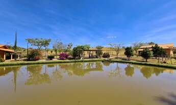 Imagem 7: Linda Chácara 2 alqueires Município de Damolandia