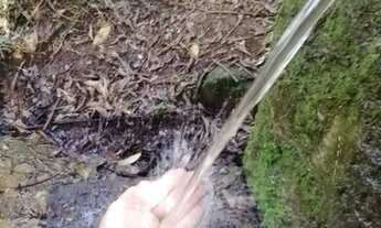 Imagem 7: Sitio tipo fazendinha com 111.000 mil m2