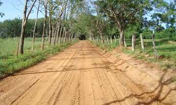 Imagem 6: SITIO NO TREVO DE POLONI INIGUALÁVEL NA REGIÃO 24,5 ALQ