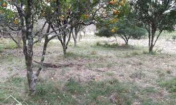 Imagem 6: Itaara - Chácara - Centro