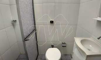 Imagem 6: Locação de Casas / Padrão na cidade de Araraquara