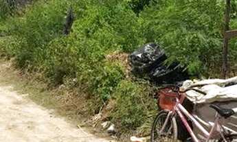 Imagem: Terreno em jardim piedade de esquina