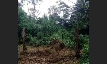 Imagem 5: Terreno em marituba