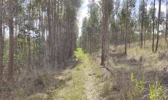 Imagem 4: Sítio em Rafard próximo do Pesqueiro Bresiane