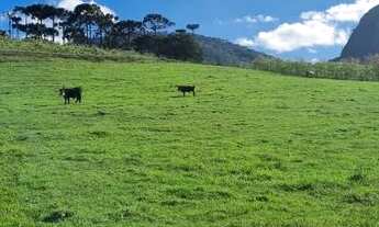 Imagem 4: Terreno - Urubici