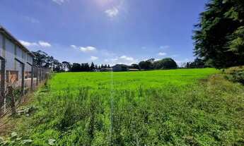 Imagem 3: BORDA DO CAMPO PIRAQUARA COM VISTA PARA SERRA