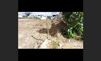 Imagem 4: MOSAICO PONTA NEGRA