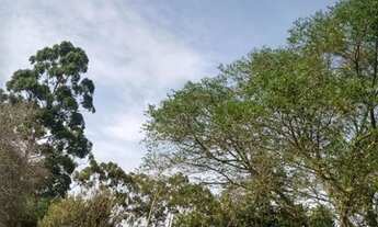 Imagem 3: Sito águas claras