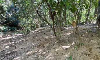 Imagem 3: Chácaras de 20 mil mt a venda 3km da cidade de Cromínia!