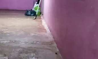 Imagem 6: Alugo casa no bairro Brasil Novo próximo a BR