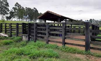 Imagem 5: Sitio em capitinga 44 alqueires 7.480.000.00 ( isa