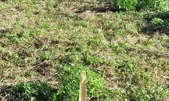 Imagem 3: Lote 26 de setembro 45 mil