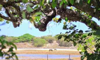 Imagem 6: Terreno beira Lagoa com 27.632 m2