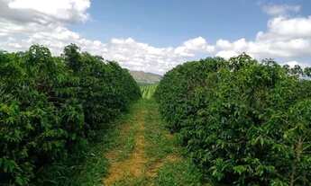 Imagem 7: Fazenda de Café em Guapé MG - Dim