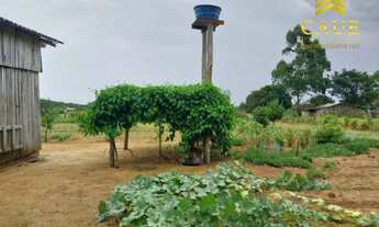 Imagem 3: OPORTUNIDADE!!! Baita sítio 5.400m2, c/casa rústica