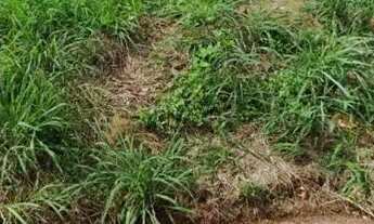 Imagem 4: Lote no Buriti Sereno próximo ao Garavelo