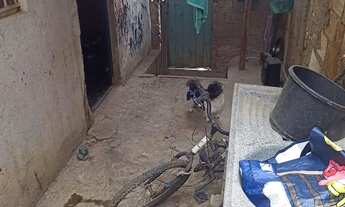 Imagem 6: VENDA DE CASA NO TAQUARIL