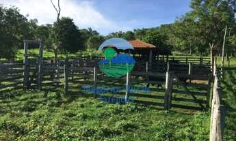 Imagem 3: Fazenda para criar gado com preço bom