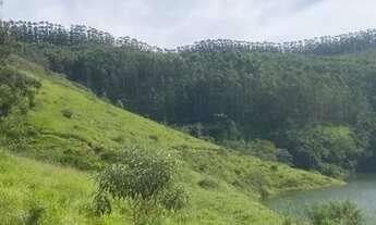 Imagem 5: OS MELHORES LOTES PÉ NA ÁGUA! REPRESA DE IGARATÁ!