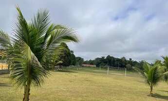 Imagem 4: Sítio Chácara com venda por R$440.000