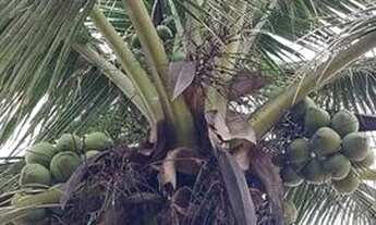 Imagem 6: Casa de frente para o mar