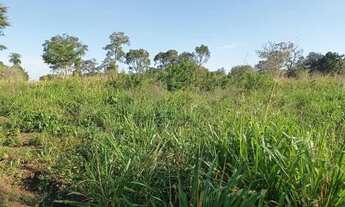 Imagem: Fazenda a venda no Tocantins
