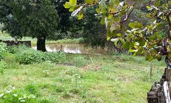 Imagem 4: Excelente chácara para vender!!