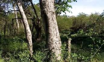 Imagem 5: Fazenda na beira do Rio São Francisco