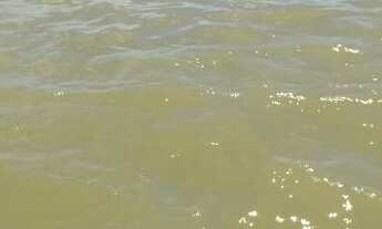 Imagem 3: Fazenda na beira do Rio São Francisco