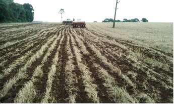 Imagem 6: Oportunidade rarissima no pr