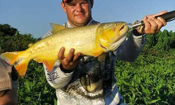 Imagem: Rancho para pesca e passeio Pantanal (rancho