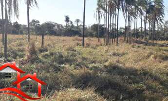 Imagem 4: Fazenda Na Região de Gurinhatã MG