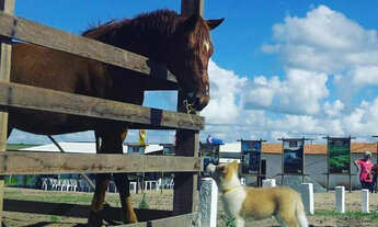 Imagem 7: Repasse Fazenda Real 1 beira lago Paraíba