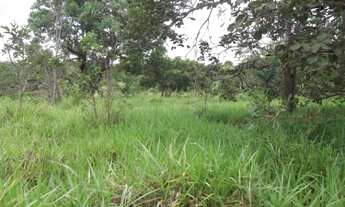 Imagem 5: Linda fazendinha de 135.000 m², Jaboticatubas (Temos varias opções)