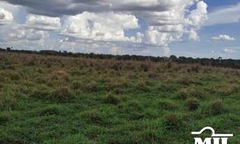 Imagem 4: Arrendamento Agrícola em Nova Crixas-GO (726 Há