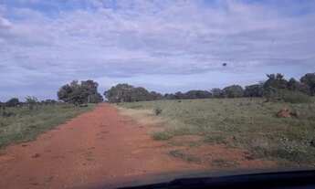 Imagem 6: 231 Alqs Região de Safra e Safrinha Ótima em Tudo Vale do AraguaiaTO