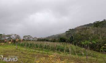 Imagem: Lindo sítio a venda em Rodeio, no Bairro