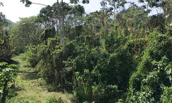 Imagem 7: Terreno para venda com 1.150m², em boa topografia no Cônego - Nova Friburgo - RJ