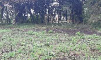 Imagem 3: Itaara - Terreno Padrão - Vila Etelvina