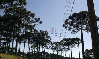 Imagem 7: Casa no Condomínio Altos Pinheiros em Canela!